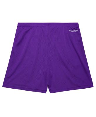Men's Purple Toronto Raptors Hardwood Classics Gameday Mesh Shorts