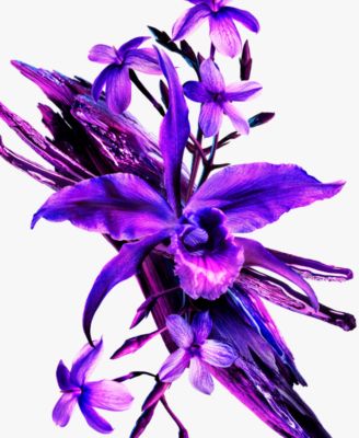 Alien Extraintense Eau de Parfum Intense Refill, 3.3 oz.