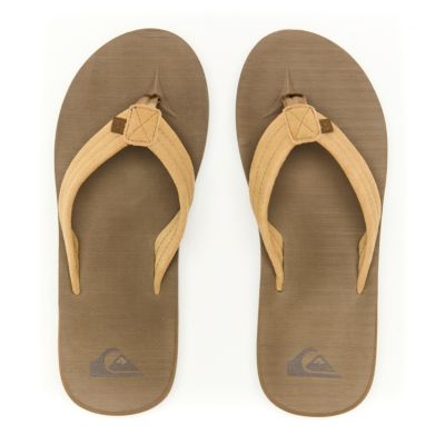Men's Carver Suede Flip Flops