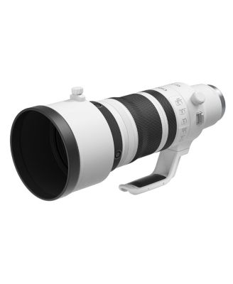 RF 100-300mm f/2.8 L IS USM Lens
