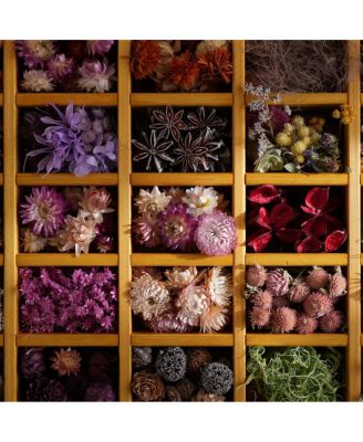 FE 28-70mm f/2 GM Lens