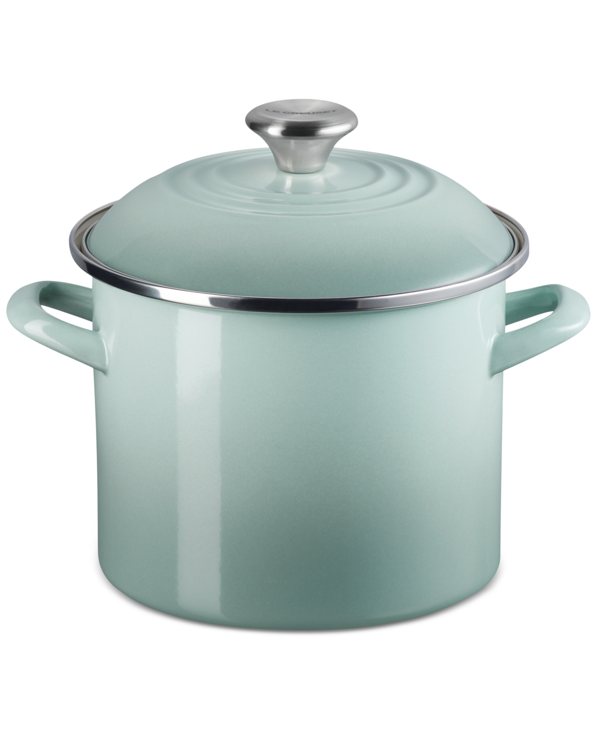 Le Creuset 8-quart Enameled Stainless Steel Stock Pot In Sea Salt