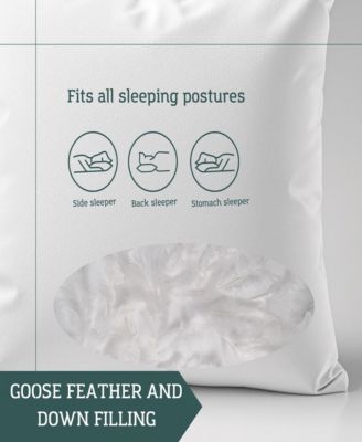 Square Pillow Insert - 22"x22" | Pack of 2 | Feather and Down Filling | Machine Washable | Made in USA