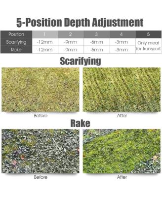 Collection Bag and Removable Blades 15 Inch 13 Amp Electric Scarifier