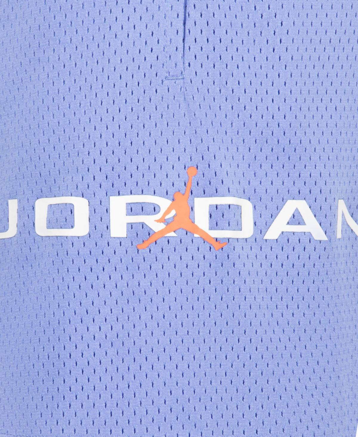 Jordan Big Boys Mj Baseline Mesh Shorts In Royal Pulse