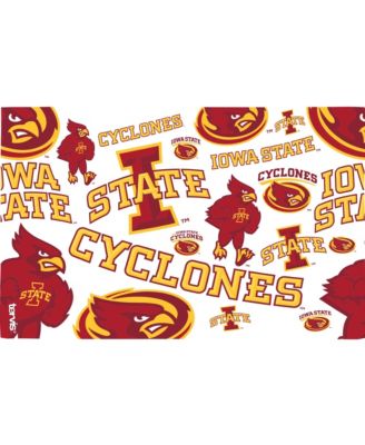 Iowa State Cyclones 16oz. Classic Tumbler, Set of 4
