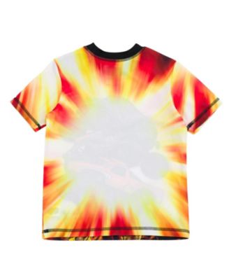 Toddler Boys Pullover Rash Guard and Swim Trunks Outfit Set