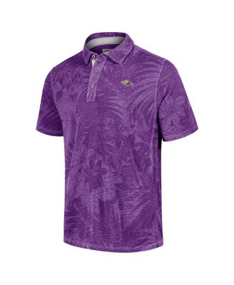 Men's Purple Baltimore Ravens Sport Santiago Paradise Polo Shirt