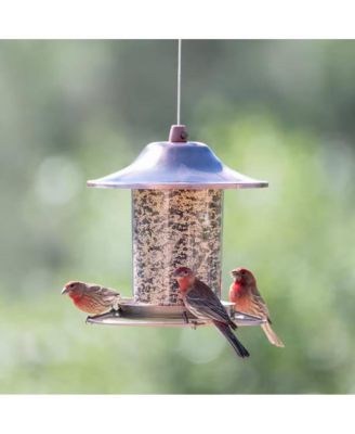 Copper Bird Feeder with Plastic Seed Reservoir Tube and Circular Perch for Outdoor Birds