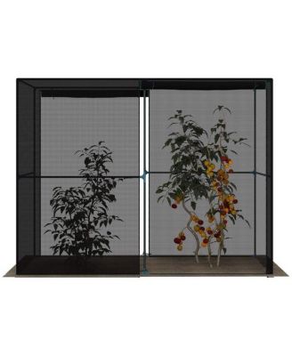 Walk-in Mini Greenhouse for Convenient Gardening and Plant Growth Protection