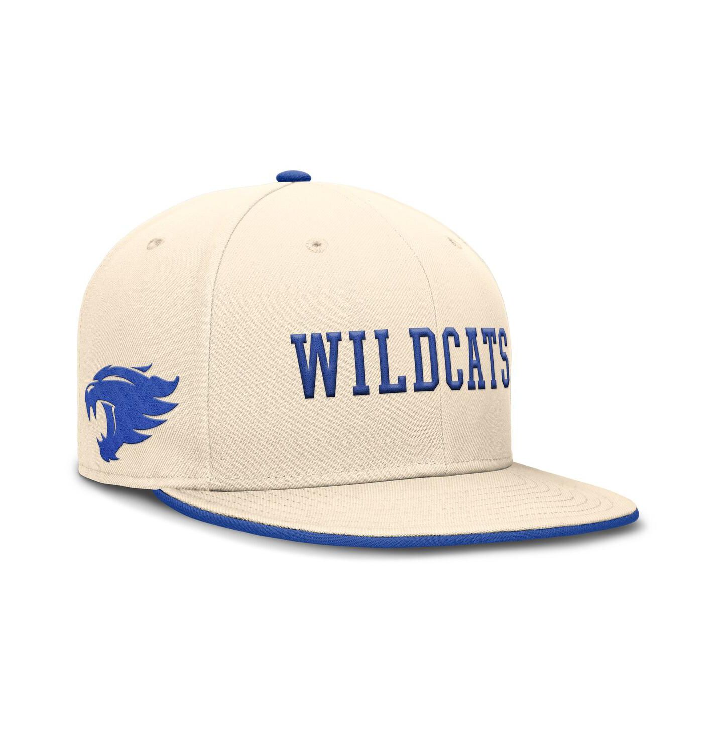 Мужская кепка Nike Natural Kentucky Wildcats Primetime True Performance Fitted Hat — фото 1