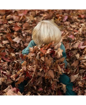 56mm F1.4 DC DN Lens Canon RF