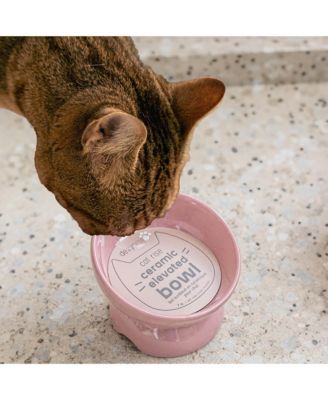 Elevated Cat Bowl: Ash Blush