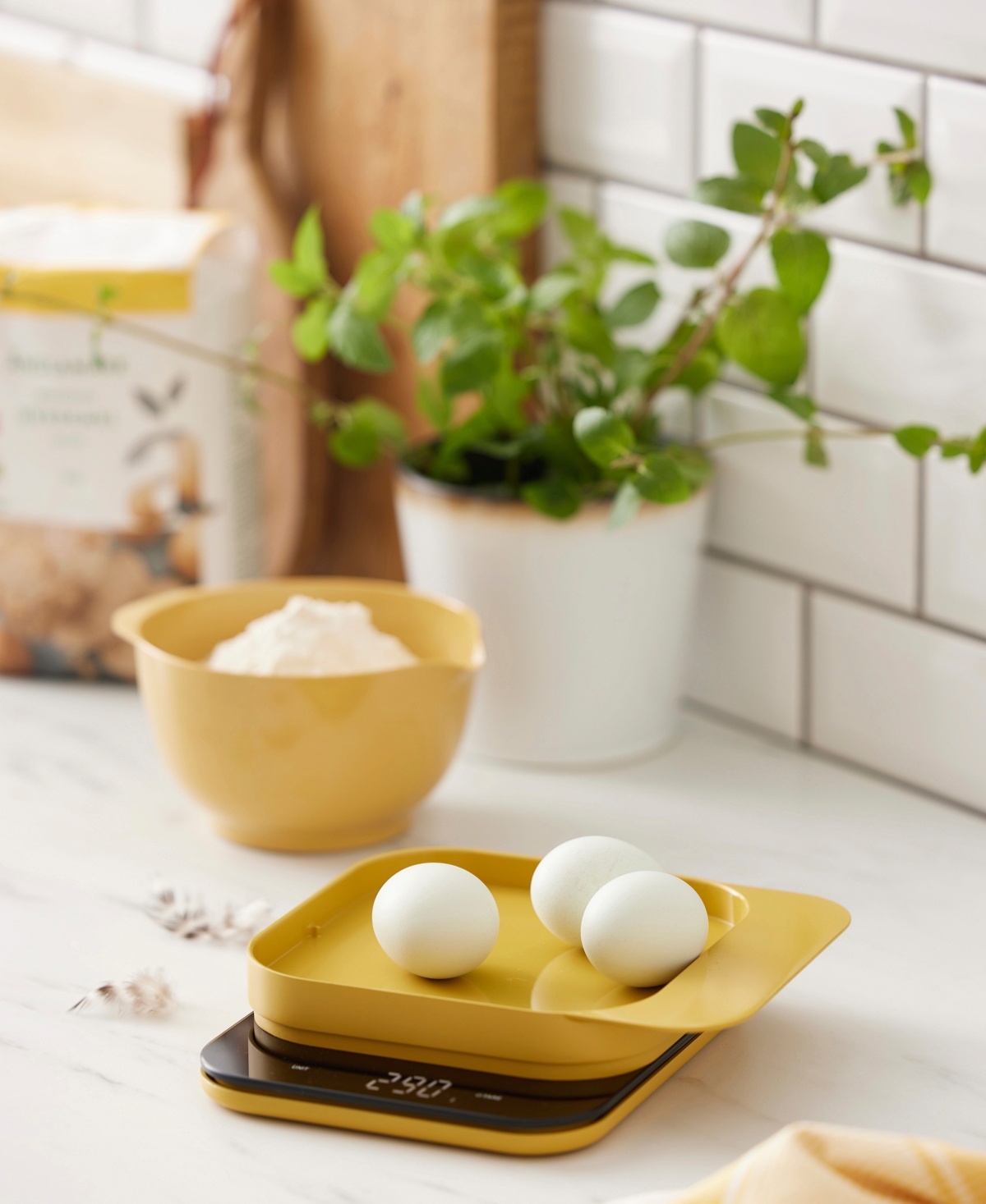 Rosti Mensura 8" Kitchen Scale In Curry