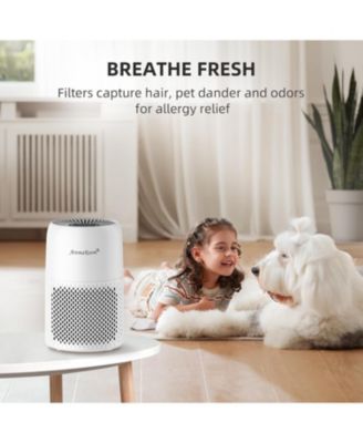 AromaRoom H13 HEPA Air Purifier with Fragrance Sponge and RGB Night Light