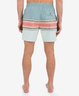Men's Phantom Naturals Cannonball 17 Boardshorts