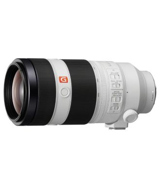 FE 100-400mm f/4.5-5.6 GM OSS Lens for Sony E, Bundle with ProOptic 77mm Filter Kit, Flex Lens Shade, Lens Cleaner, Cleaning Kit, Lens Cap Tether