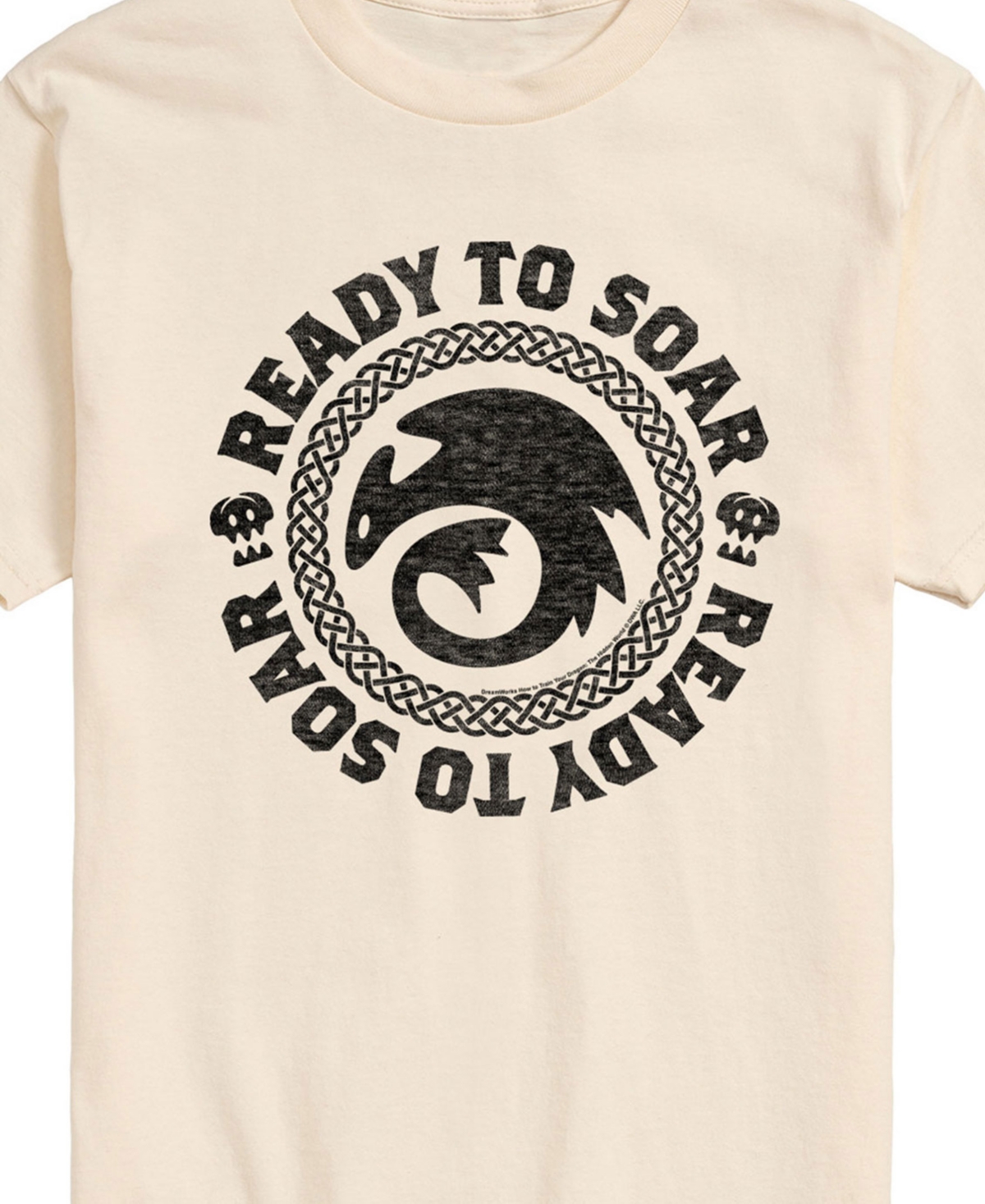 Airwaves Men's How To Train Your Dragon Ready To Soar Short Sleeve T-shirt