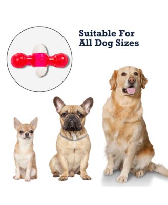 Quacker Bone Dog Chew Toy - Durable TPR and Nylon Blend for Aggressive Chewers