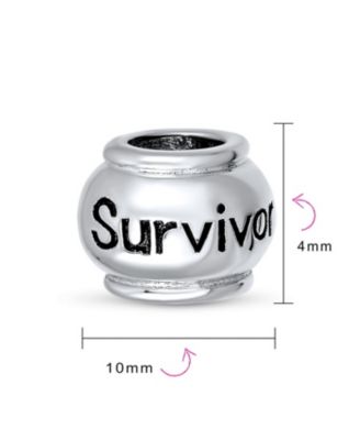Set of 2 Ribbon Survivor Message Dangle Charm Bead Sterling Silver for European Bracelet