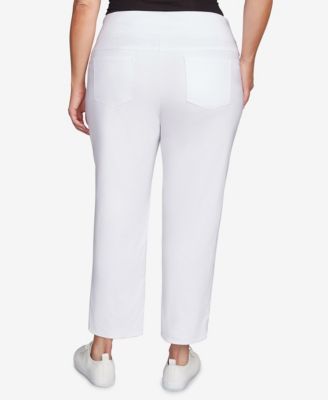 Plus Size Embroidered Ankle Pant