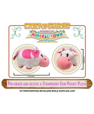 Story of Seasons: Friends of Mineral Town for Xbox One