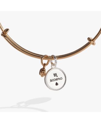 Zodiac Bangle Bracelet Scorpio