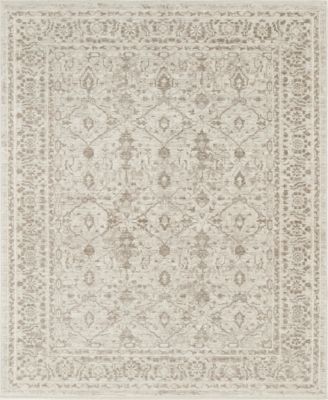 Shadows SHW04 3'11"x5'11" Area Rug