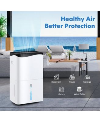 100-Pint Dehumidifier with Smart App and Alexa Control for Home and Basements