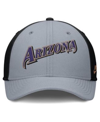 Men's Gray/Black Arizona Diamondbacks Rise Swoosh Performance Flex Hat