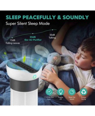 Air Purifier with Sleep Mode for Home Office up to 1300 Sq Ft