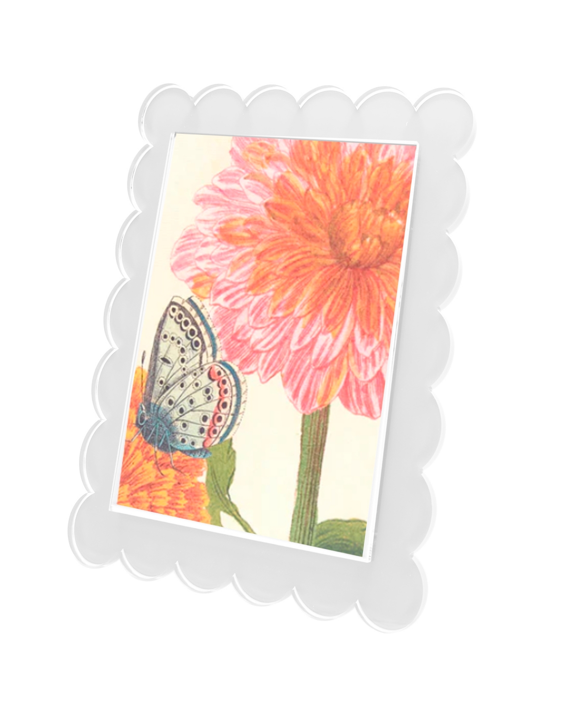 TARA WILSON DESIGNS SCALLOP FRAME, 8" X 10" 