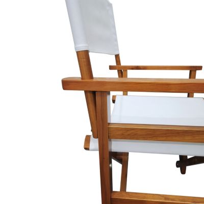 Streamdale Folding Wooden Director Chair (Set of 2)