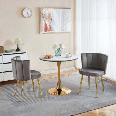 Streamdale Modern Velvet Dining Chair (Set of 2) with Golden Legs