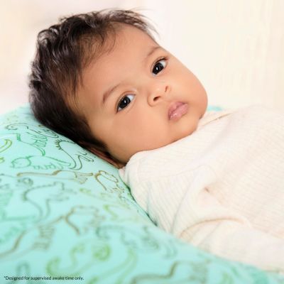 Beeboo Nursing Pillow and Positioner, Removable and Washable Pillow Cover, Breathable Fabric