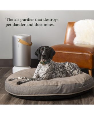 Air Pro with PECO-HEPA Tri Power Filter