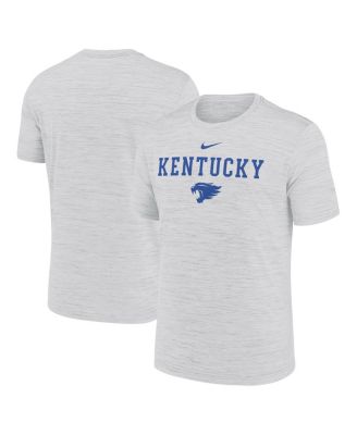 Nike - Men's Ash Kentucky Wildcats 2025 Sideline Velocity Performance T-Shirt