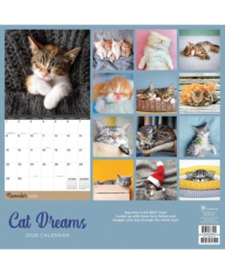 2026 Cat Dreams Wall Calendar