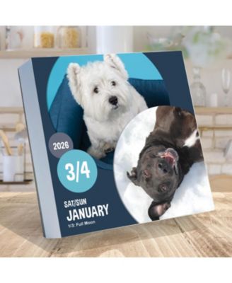 2026 Dog A Day Daily Desktop Calendar