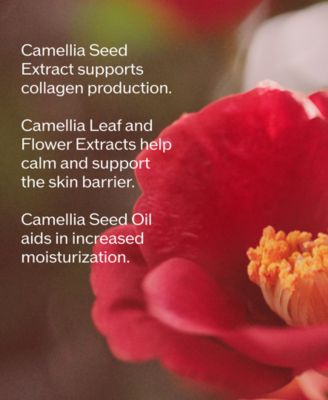 Ultimune Power Infusing Serum, 4 oz, First at Macy's