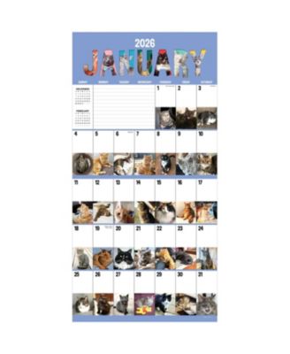 2026 Cat-A-Day Wall Calendar