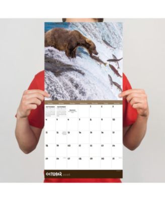 2026 Wild Wall Calendar
