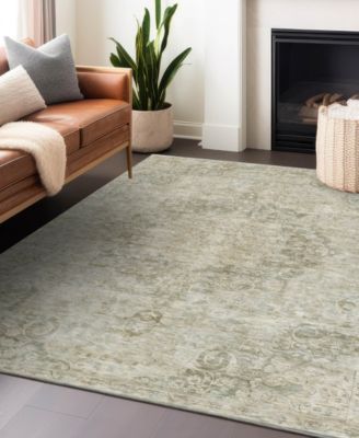 Chantille Machine Washable ACN1238 3'x5' Area Rug