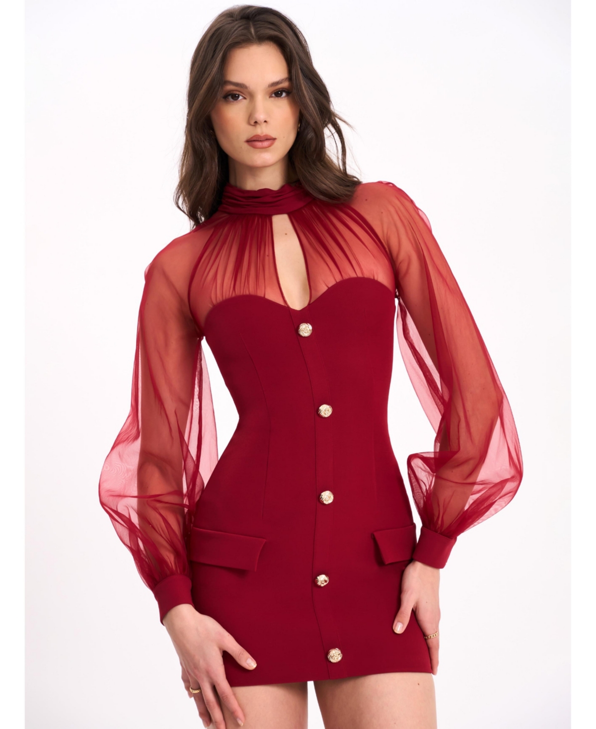 Women's Tabitha Burgundy Mesh Lantern Sleeve Mini Dress - Dark red