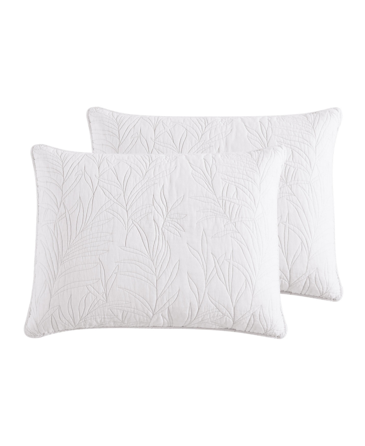 Solid Costa Sera Cotton Sham, King - Sage Green