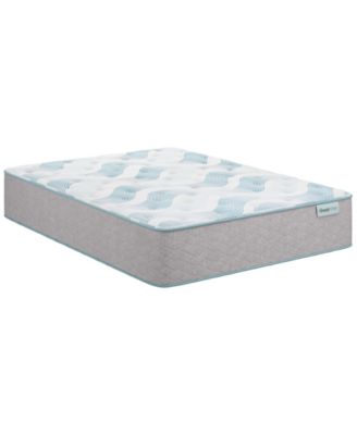 Beautysleep Bashful Lullaby 13.75" Plush Tight Top Mattress Set - Queen