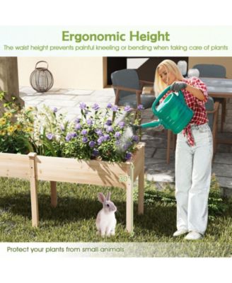 Outdoor Raised Garden Bed with Divider Panel and Drainage Holes