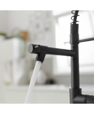 Contemporary Single Handle Pull-Down Spring Faucet with Sprayer and Deck Plate Commercial Kitchen Faucet