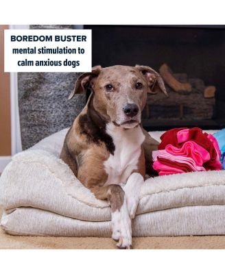 Pupper Snuffle Ball - Snuffle Ball for Dogs