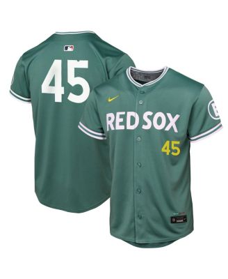 Nike - Big Boys and Girls Pedro Martinez Green Boston Red Sox 2025 City Connect Limited Retired Player Jersey